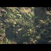 『Predator: Hunting Grounds（仮）』 Reveal Trailer