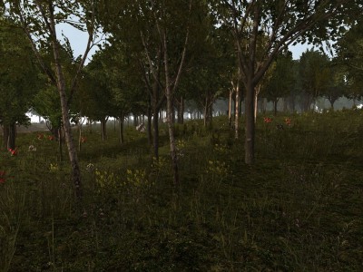 7dtd Forest